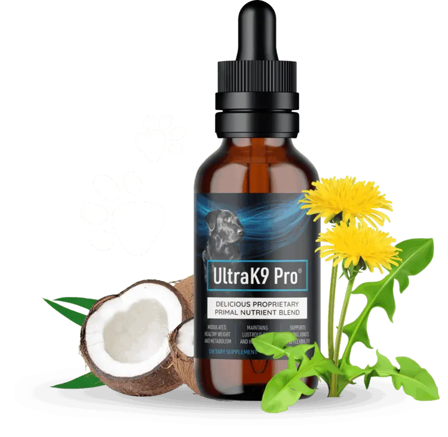 Ultra K9 Pro™ Official | #1 Supplements For Dogs UltraK9 Pro